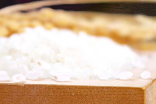 精米歩合とは何のこと？お米を磨くことで変化する日本酒の香りと味わい